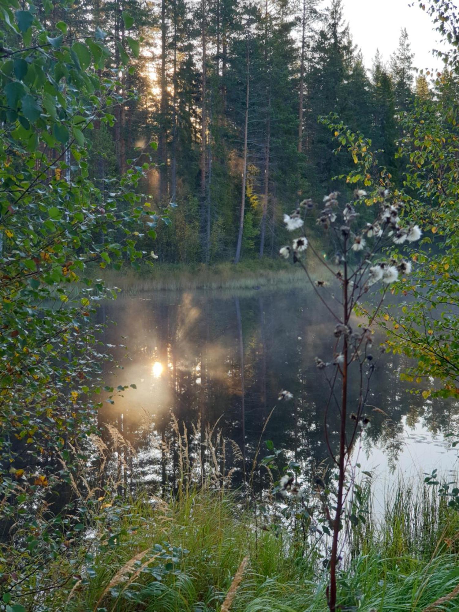 Апартаменты Tyforsgarden Mjolnartorpet Экстерьер фото